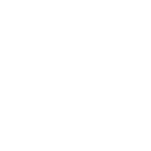 Platinum Cubed Logo